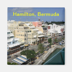 Aimant des bermudes de Hamilton