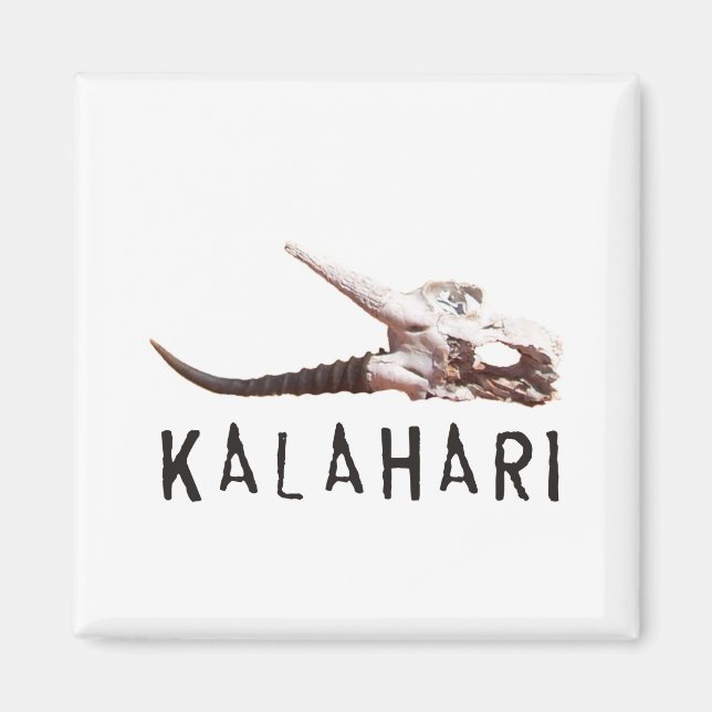 Aimant Désert du Kalahari en Afrique : Crâne d'antilope m (Devant)