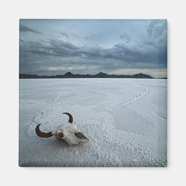 Aimant Deserts | Bonneville Salt Flats Utah (Devant)