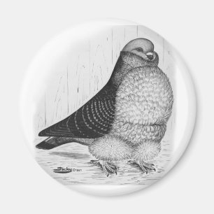 Aimant Dessin d'encre de chou chinois