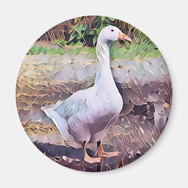 AIMANT DESSOUS DE VERRE GOOSE (Devant)