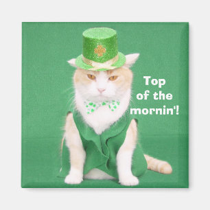 Aimant Dessus du mornin'!
