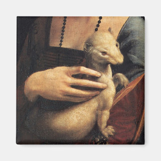 Aimant Détail d'Ermine