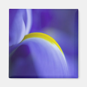 Aimant Détail rapproché d'un iris Blue Flag.
