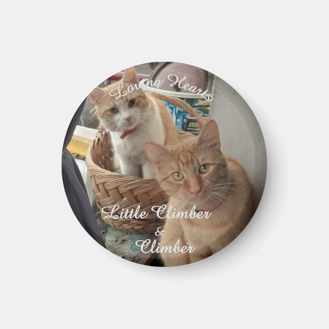 Aimant Deux Chats, Photo Remplaçable Et Noms, (Devant)