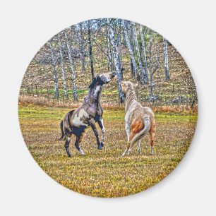 Aimant Deux Chevaux de Peinture Pinto Jouant Équine Art D