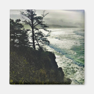 Aimant Devil's Punchbowl State Park, Newport, Oregon