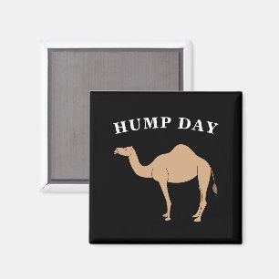Aimant Devinez Quel Jour C'Est Hump Day Camel Desert Anim
