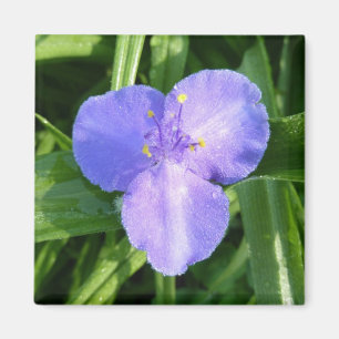 Aimant Dewy Trillium Fleur sauvage de printemps