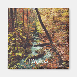 Aimant d'exécution de rotation