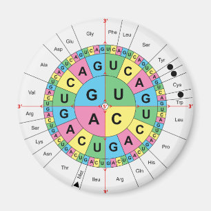 Aimant Diagramme de la table de séquence de base d'acide 
