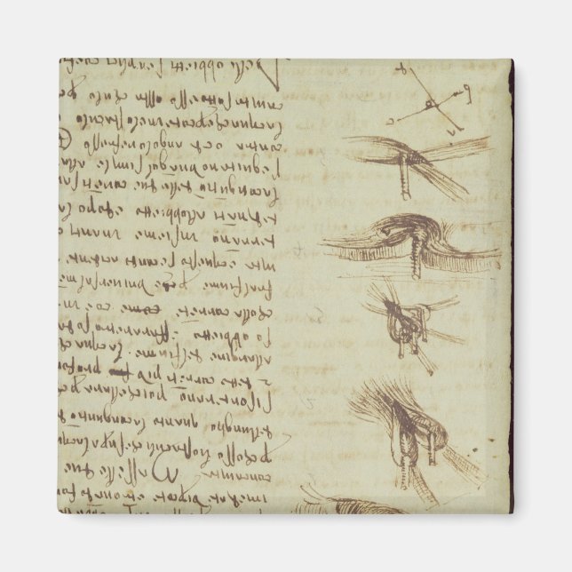 Aimant Diagrammes scientifiques (Devant)