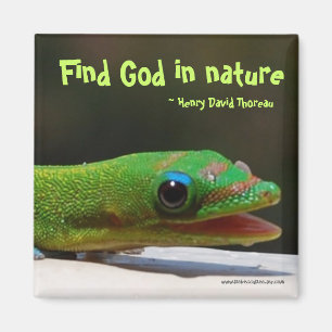 Aimant Dieu de découverte en nature