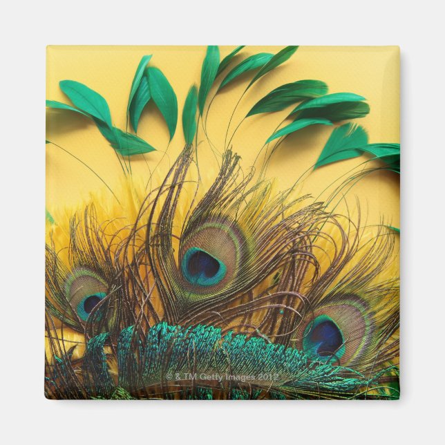 Aimant Différentes plumes de paon (Devant)