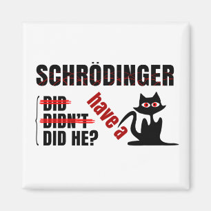 Aimant Dillema de Schrodinger