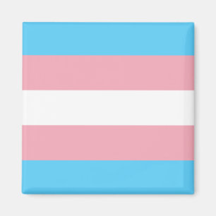 Aimant d'indicateur de trans