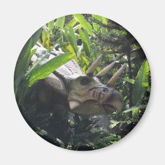 Aimant Dinosaure dans la nature