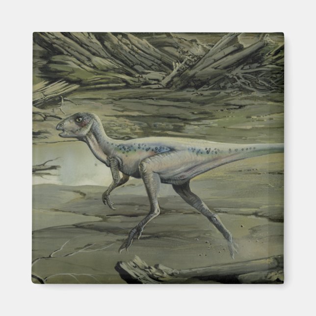 Aimant Dinosaures vintages, Hypsilophodon crétacé (Devant)