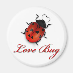 Aimant d'insecte d'amour