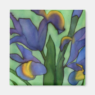 Aimant d'iris