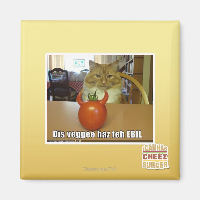 Aimant Dis veggee haz l'EBIL (Devant)