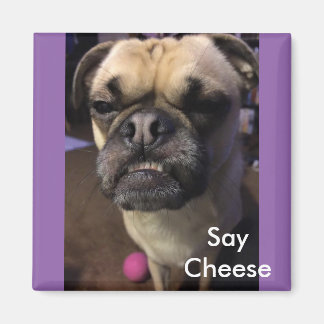 Aimant Dites Fromage