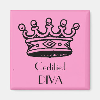 Aimant DIVA certifié