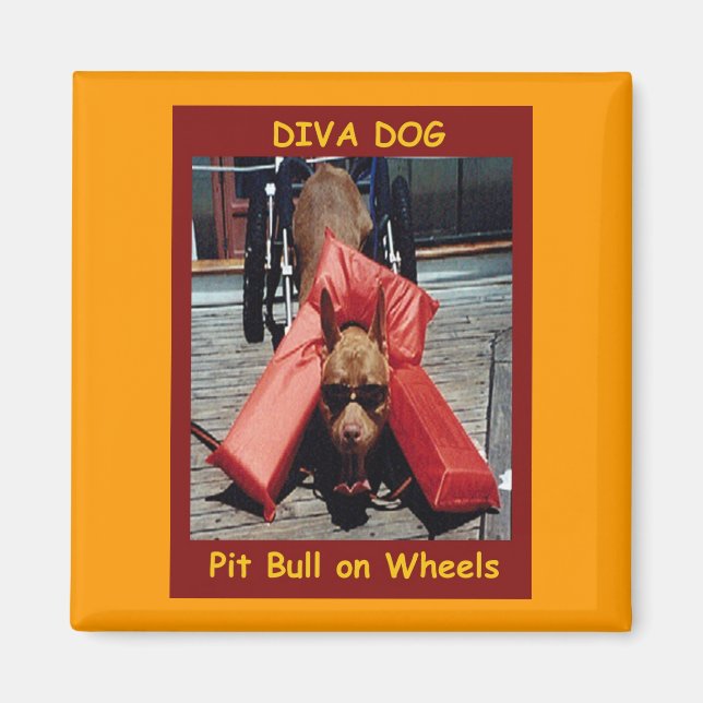 Aimant DIVA DOG' Réfrigérateur magnétique (Devant)