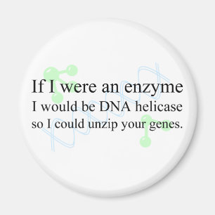 Aimant "DNA Helicase"