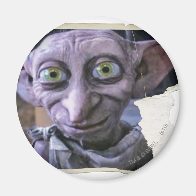 Aimant Dobby 1 (Devant)