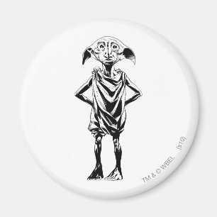 Aimant Dobby 2