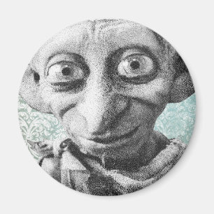 Aimant Dobby 4