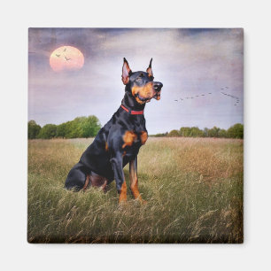Aimant Doberman Pinscher