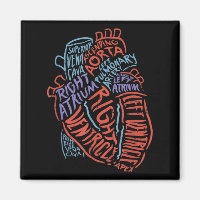 Docteur en anatomie cardiologue Biologie Médicale