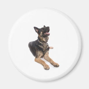 Aimant dog - german shepherd