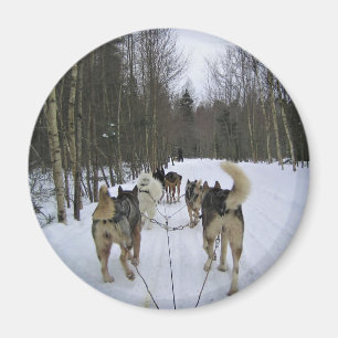 Aimant Dog Sledding à Québec, Canada