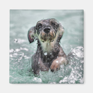 Aimant Doggy Paddle mignon chien nager