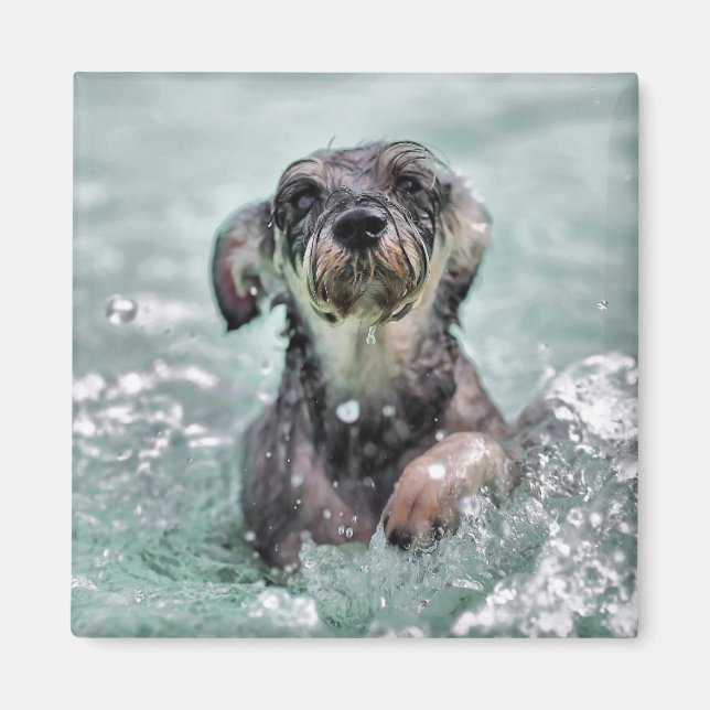Aimant Doggy Paddle mignon chien nager (Devant)
