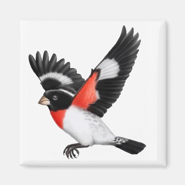 Aimant d'oiseau sauvage à poitrine rose (Devant)