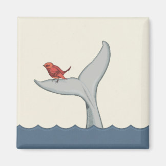 Aimant d'oiseaux et de baleines