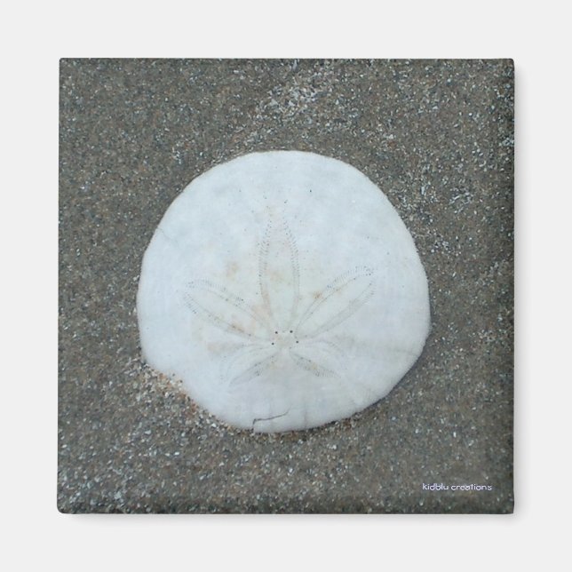 aimant - dollar de sable (Devant)