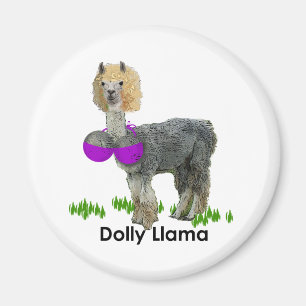 Aimant Dolly Llama