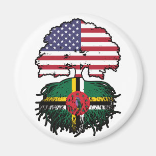 Aimant Dominique Dominicain Américain Etats-Unis Drapeau 