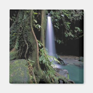 Aimant Dominique, Piscine d'émeraude, Cascade.