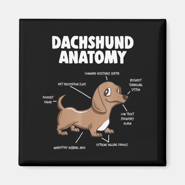 Aimant Don de chien | Anatomie Dachshund Funny Weiner (Devant)