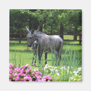 Aimant Donkey in Garden