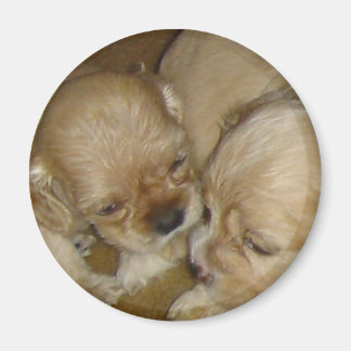 Aimant Donne-moi un baiser