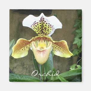 Aimant d'orchidée