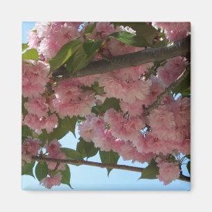 Aimant Double Blossoming Cherry