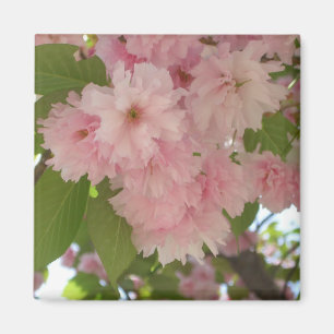 Aimant Double floraison cerisier II printemps fleuri